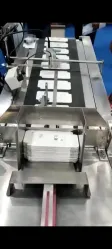 SPP-02 Feeder Conveyor