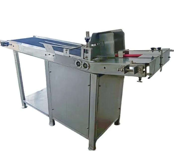 Label Feeder Conveyor - View 1