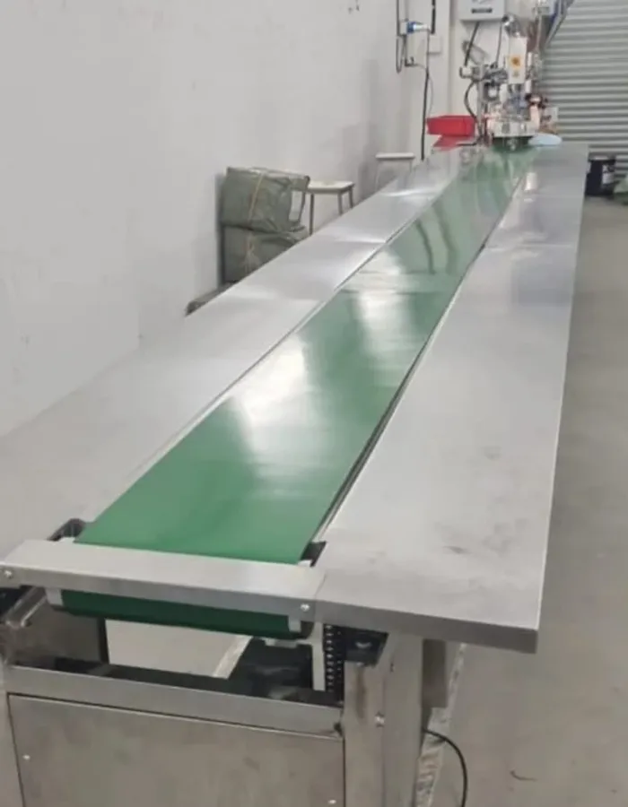 SPS-03 Pharmaceutical Packing Conveyor - View 1